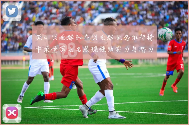 深圳羽毛球队在羽毛球状态排行榜中荣登第七名展现强劲实力与潜力